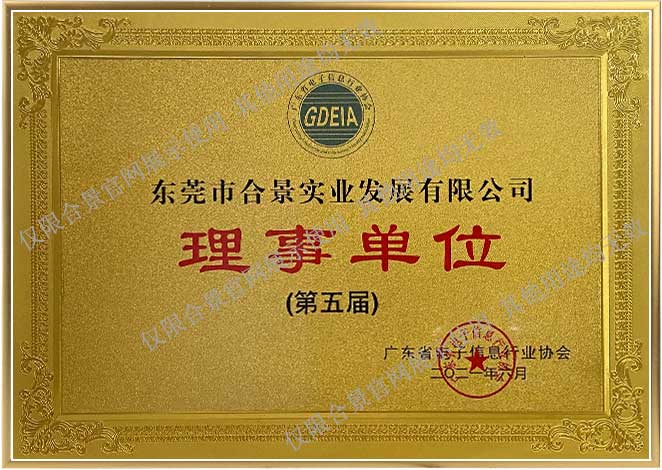 廣東電子信息協會理事單位